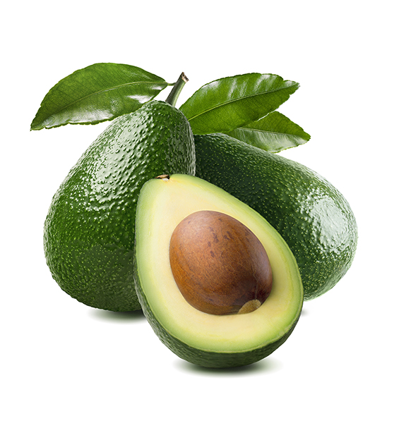 Palta